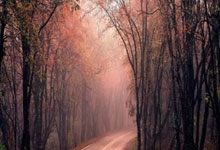 股票怎么上杠杆:股票能网上开户嘛-历史性时刻！寒武纪跨越“高山” 海光信息拟构建“平台型航母” 龙芯中科还在“战略性亏损”