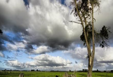 股票上市的基本条件:证券龙头股票排名前十-重磅药品销量破百亿 创新药“一哥”持续盈利仍存隐忧