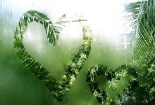 好用的股票软件排名:怎么买股票炒股-创新药赛道火爆！机构密集调研+资金大幅加仓 仅13股