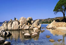 股票开户哪个公司比较好:散户应该买什么股票-狂买49亿股！险资二季度重仓买了这些 投资者能“抄作业”吗